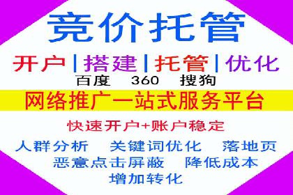 谷歌竞价案例：跨境电商广告投放策略